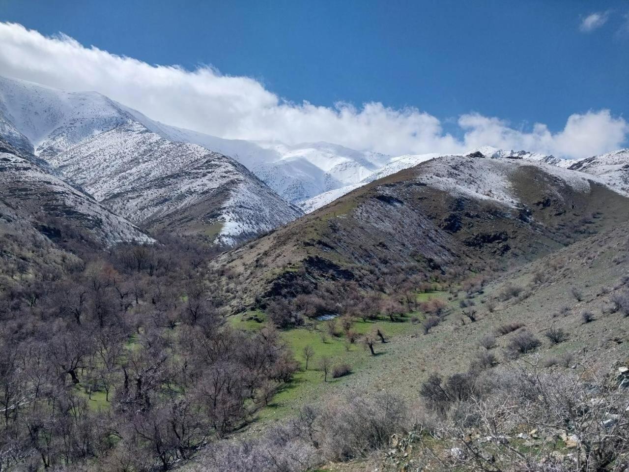 Hayat Guesthouse Nuratau Mountain Yukary-Ukhum 外观 照片